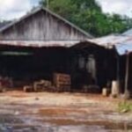 IMG-20250127-WA0188